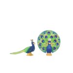 OSTHEIMER PÁVA NYITOTT FARKTOLLÚ