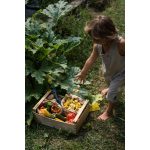 GRAPAT MANDALA -  TULIPÁN