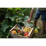 GRAPAT MANDALA -  TULIPÁN