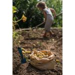 GRAPAT MANDALA -  TULIPÁN