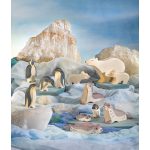 OSTHEIMER OROSZLÁNFÓKA FELFELÉ NÉZŐ