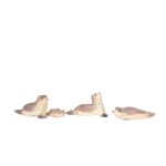 OSTHEIMER OROSZLÁNFÓKA PIHENŐ