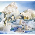 OSTHEIMER OROSZLÁNFÓKA PIHENŐ