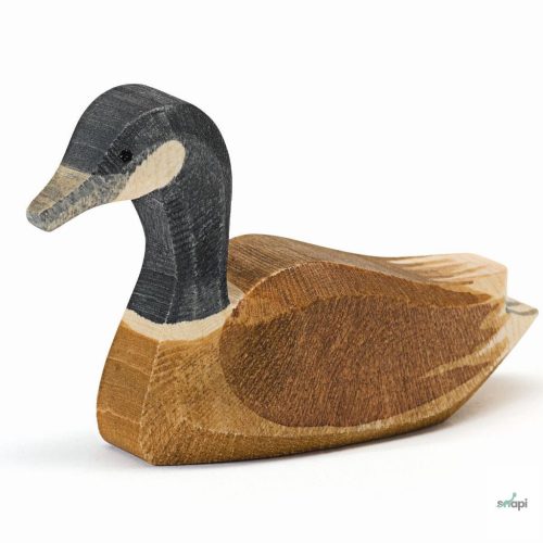 OSTHEIMER KANADAI LÚD, ÚSZÓ