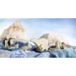 OSTHEIMER PINGVIN NYITOTT CSŐRŰ