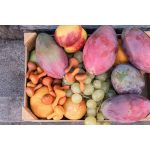 GRAPAT MANDALA -  TÖK