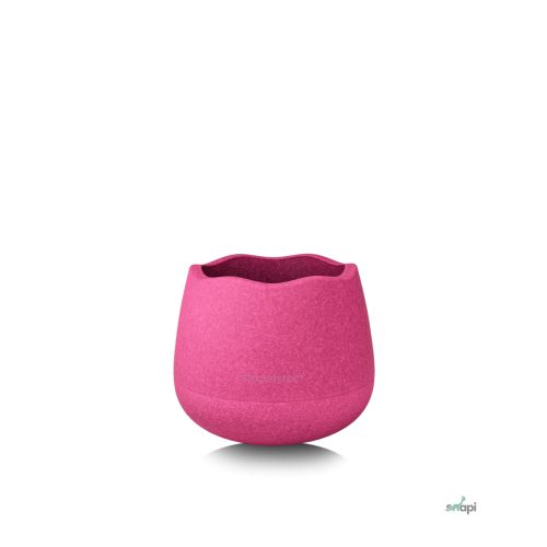 STAPELSTEIN DYNAMIC BASE / ALAP 2025 , RÓZSASZÍN 