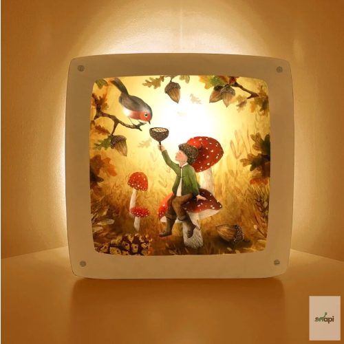 BIJDEHANSJE - OBRÁZOK DO LAMPY, CALL ME ROBIN