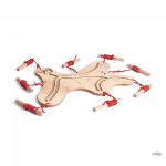 ERZI "CSAPATSZELLEM" ÓRIÁS CSOPORTJÁTÉK 