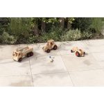 FAGUS DREVENÉ TERÉNNE AUTO