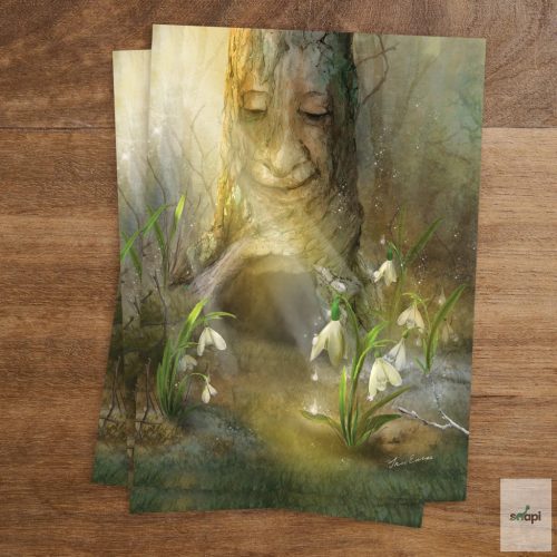 IRIS ESTHER KÉPESLAP - SNOWDROPS/ HÓVIRÁGOK