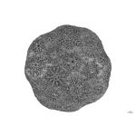 MUFFIK Hosszabbító tuskó - Hópehely puha, szürke- csillogó