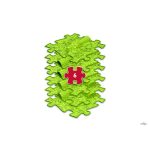 MUFFIK KÍGYÓ SZETT, 6 DARABOS - LIME