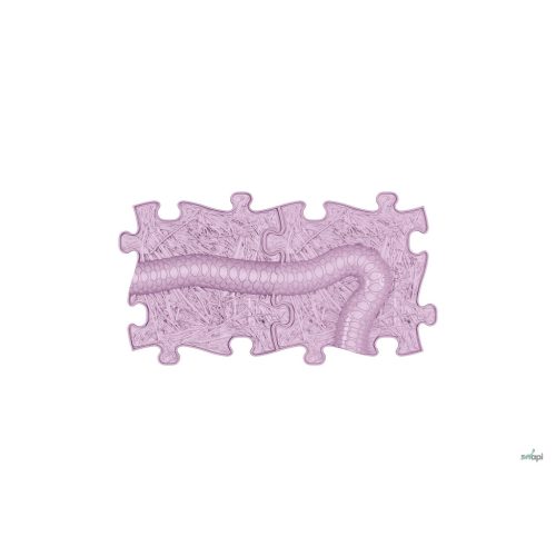 MUFFIK KÍGYÓSZETT, 2 DB-OS - LILA, limitált