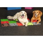 MUFFIK SZETT KUTYÁKNAK