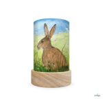 TOVERLUX SZILUETT SZETT A LÁMPÁSBA,  Eentje van Margo - Forest Animals