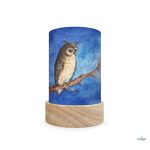TOVERLUX SZILUETT SZETT A LÁMPÁSBA,  Eentje van Margo - Forest Animals