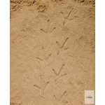 YELLOW DOOR NYOMOZÓ KŐSZETT, FARMUDVARI LÁBNYOMOK, 8 DB - előrendelésre