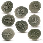 YELLOW DOOR NYOMOZÓ KŐSZETT, ERDEI LÁBNYOMOK, 8 DB - előrendelésre